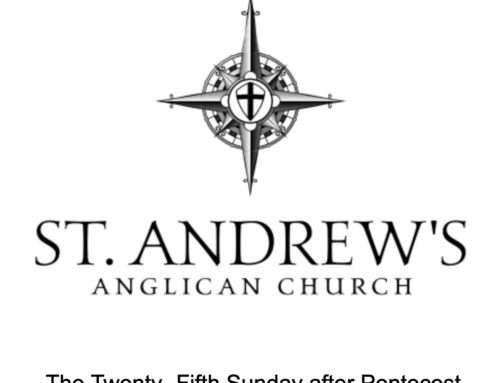 Bulletin, November 10, 2024